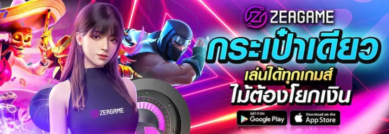 ZEAGAME กระเป๋าเดียวเล่นได้ทุกเกมส์ ไม่ต้องโยกเงิน